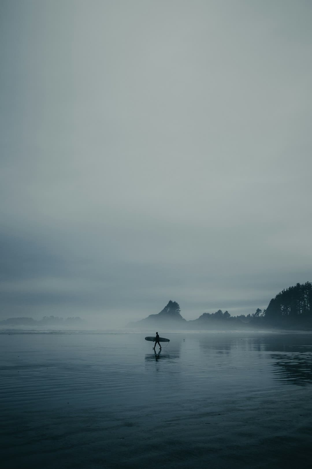 大型崇洋翻车现场：博主吹Unitree机器狗+嘲讽宇树，竟不知Unitree即宇树